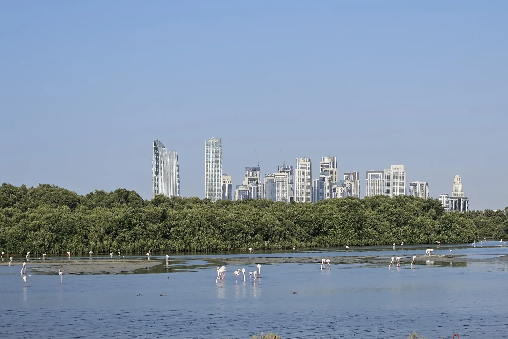 Ras Al Khor Wildlife Sanctuary