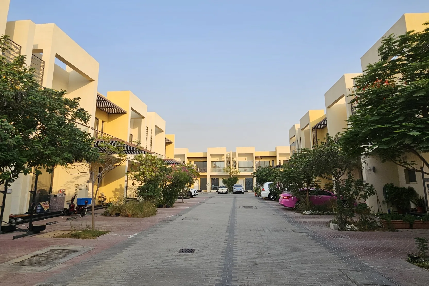 Sahara Meadows 2