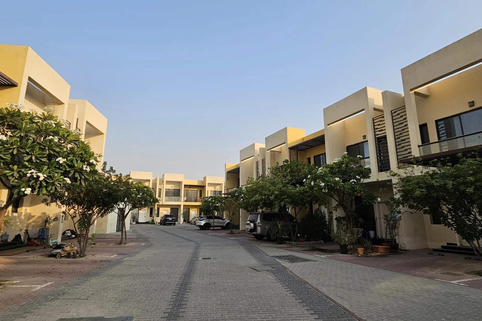 Sahara Meadows 2
