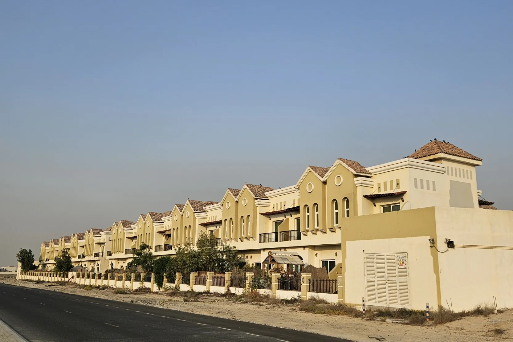 Sahara Meadows