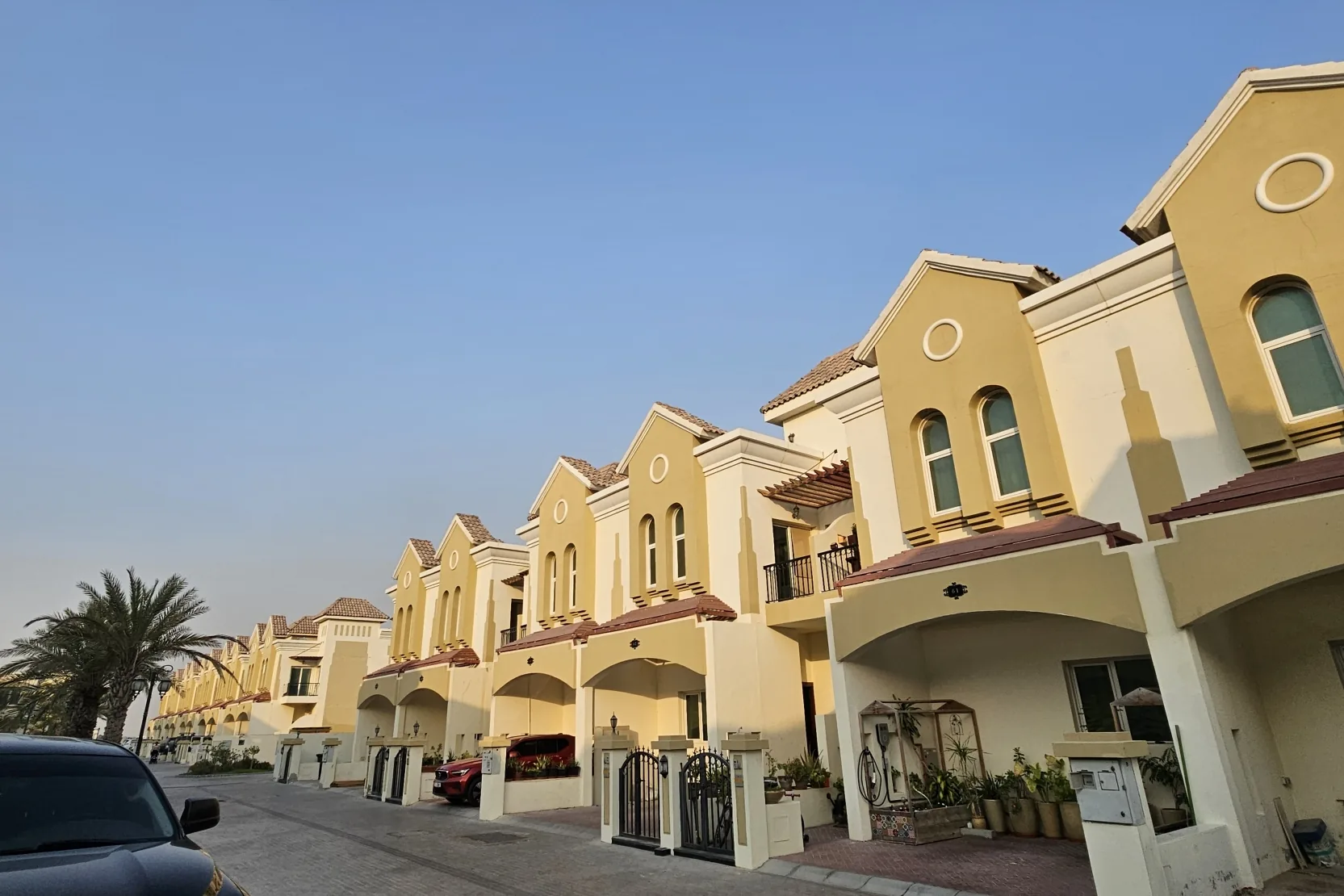 Sahara Meadows