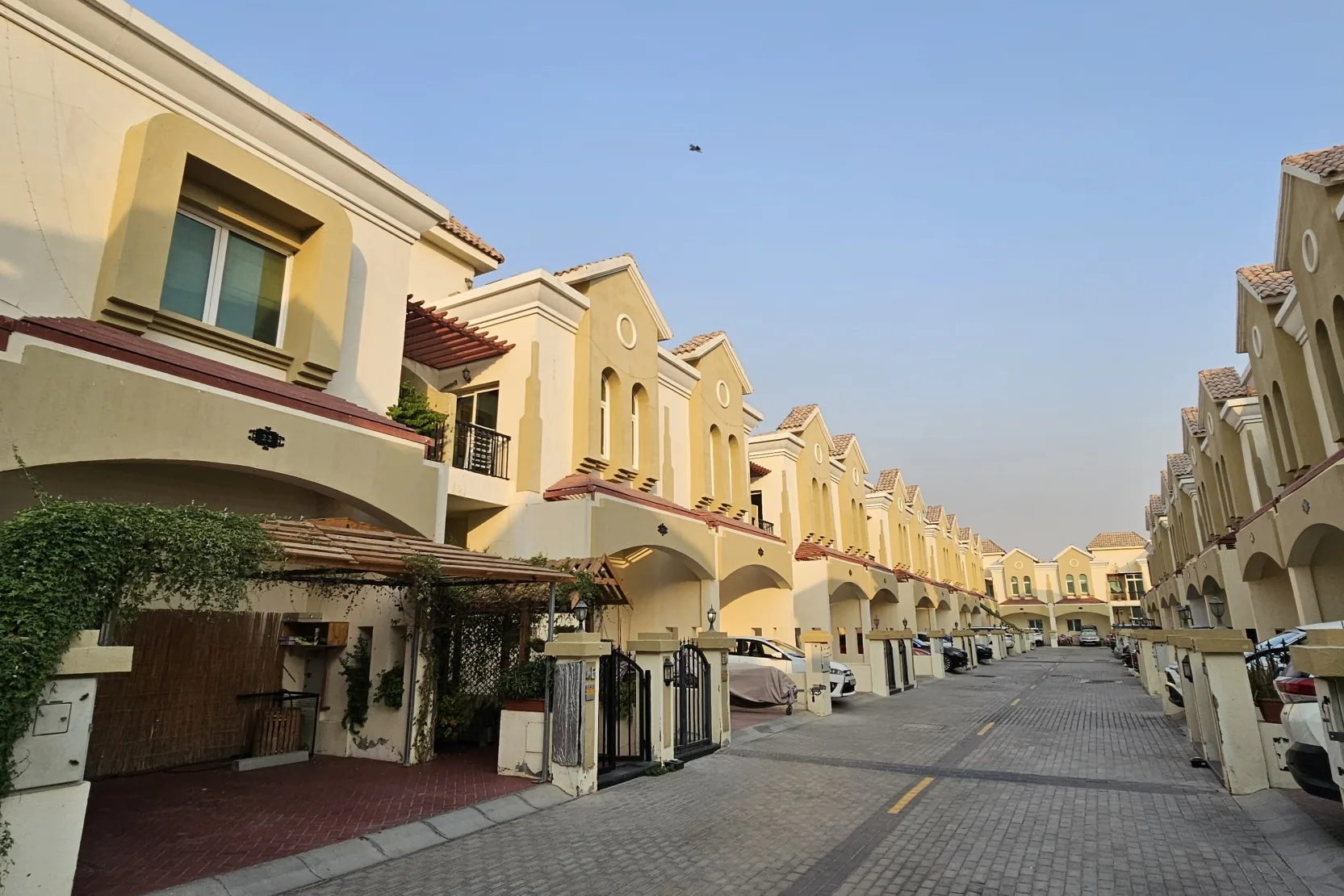 Sahara Meadows