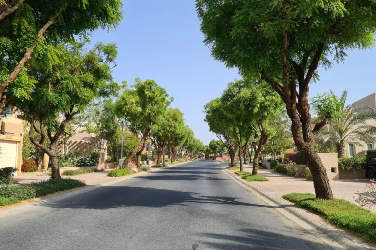 Saheel 1