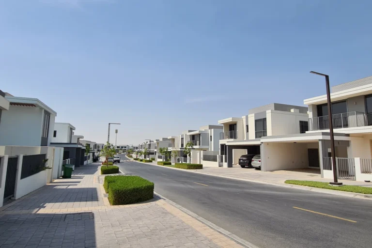 Sidra 3