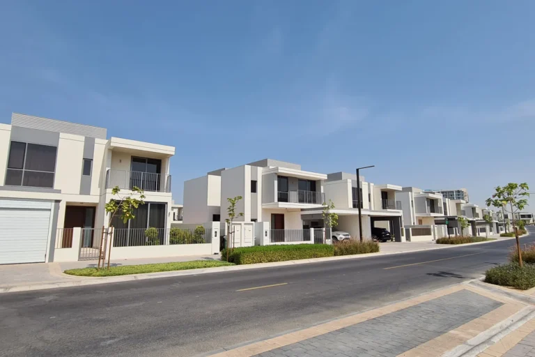 Sidra 3