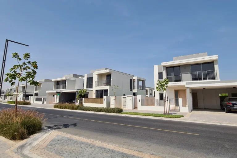 Sidra 3