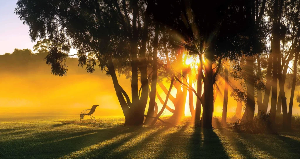 Sobha Creek Vistas Reserve in Mohammed Bin Rashid City, Dubai