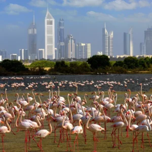 Sobha Creek Vistas by Sobha Group in Sobha Hartland, Dubai