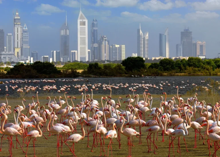 2 Bedroom Apartment in Sobha Creek Vistas