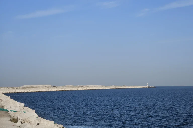 The Forest District Jumeirah Peninsula