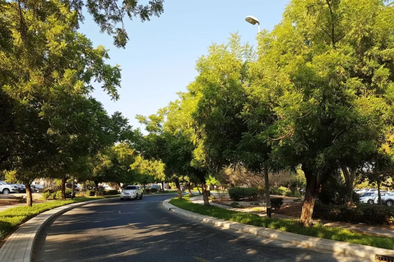 The Gardens