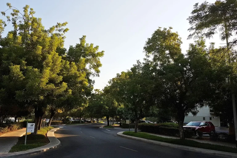 The Gardens