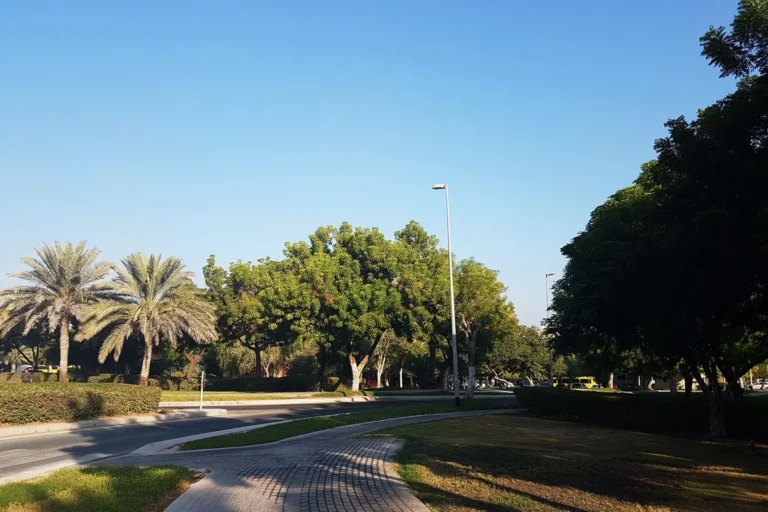 The Gardens