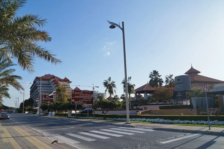The Palm Crescent
