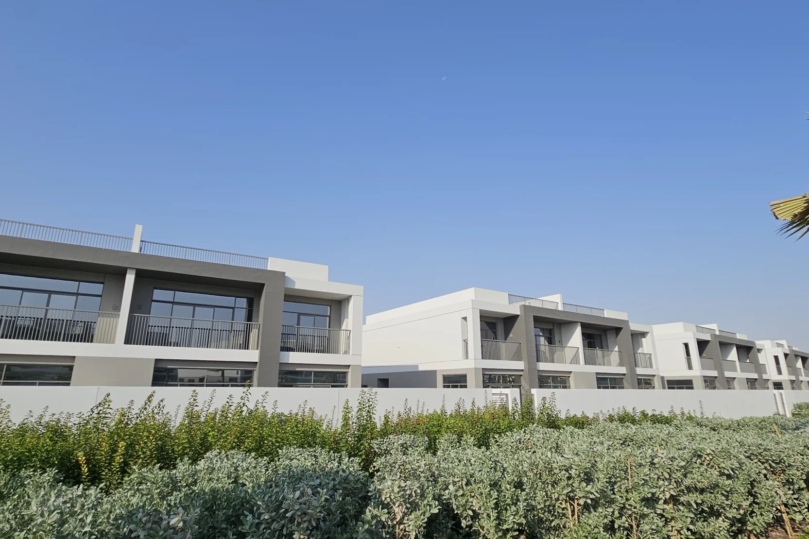 The Pulse Beachfront 3