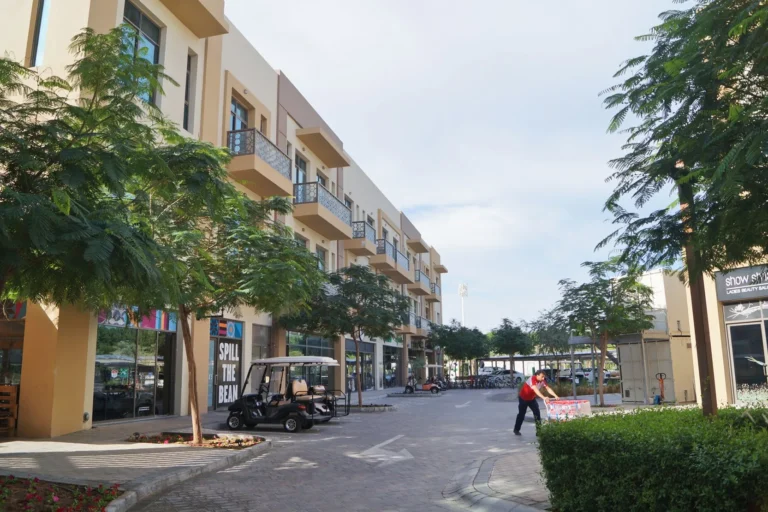 The Sustainable City