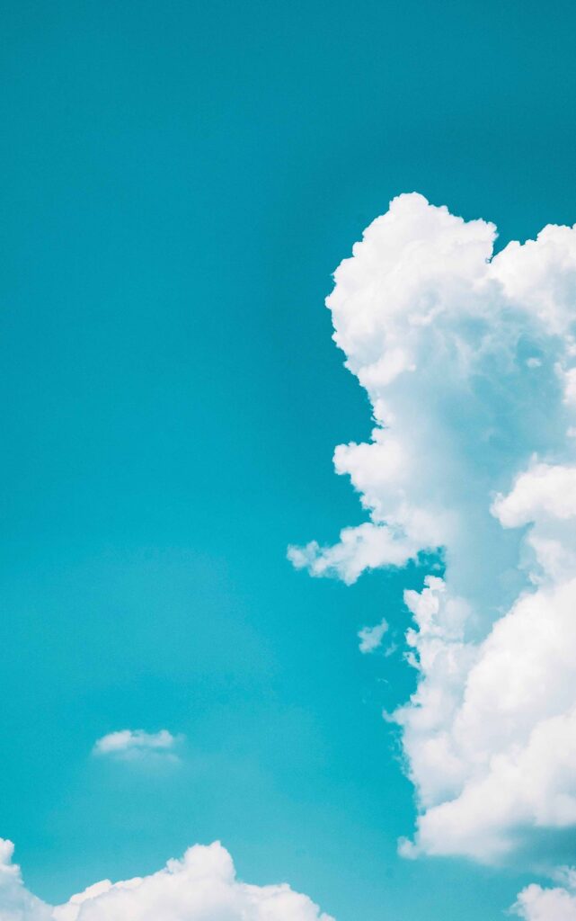 Outdoor pool area with cabana and palm trees