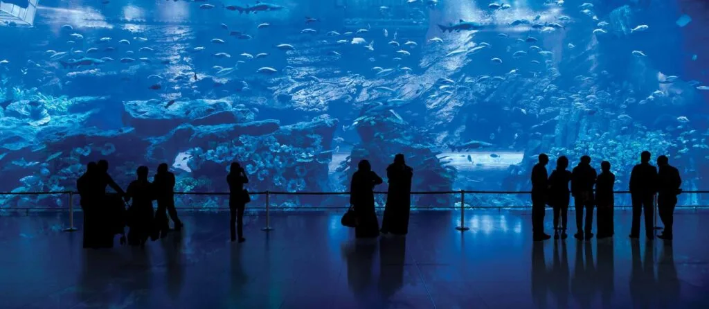 Interior view of large aquarium with silhouetted visitors