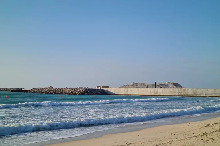 WASL Island Project